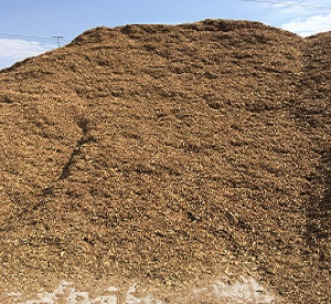 Blond Wood Chips