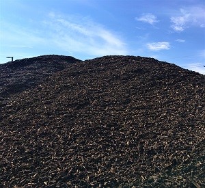 Composted Wood Chips